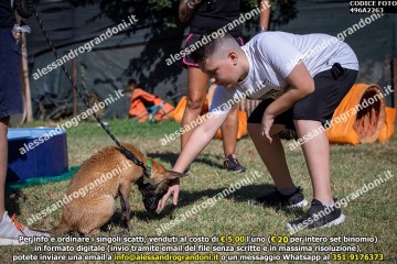 496A2263.jpg