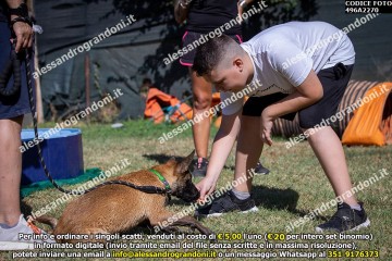 496A2270.jpg
