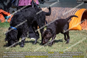 496A2309.jpg