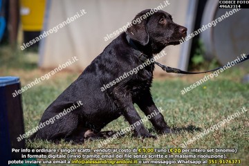 496A2314.jpg