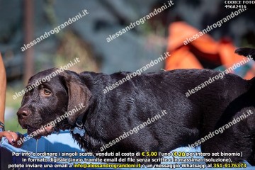 496A2416.jpg