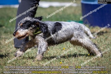 496A2547.jpg
