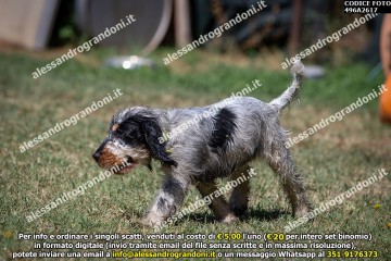 496A2617.jpg