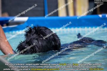 496A2717.jpg
