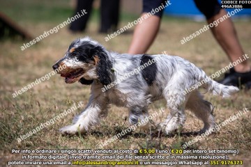 496A2886.jpg