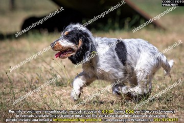 496A2889.jpg