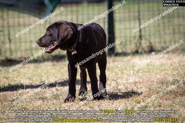496A2916.jpg