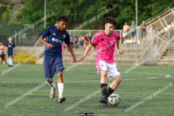 IMG_0104.jpg