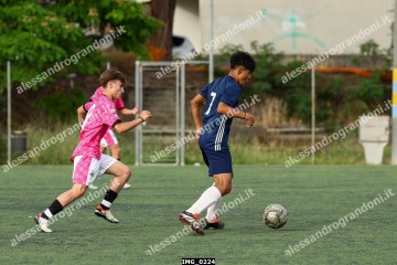 IMG_0224.jpg
