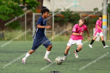 IMG_0230.jpg