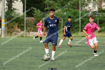 IMG_0233.jpg