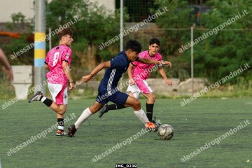 IMG_0239.jpg