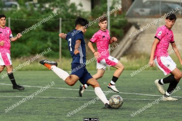 IMG_0242.jpg