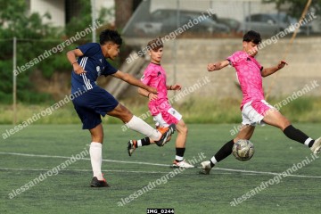 IMG_0244.jpg