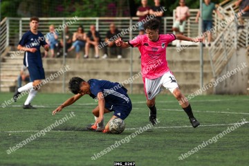 IMG_0267.jpg