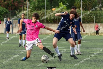 IMG_0306.jpg