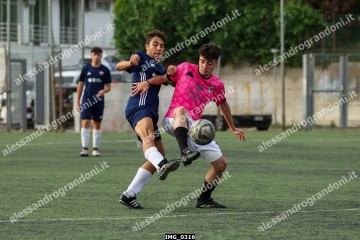 IMG_0316.jpg
