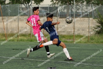 IMG_0323.jpg