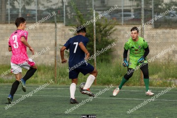 IMG_0355.jpg