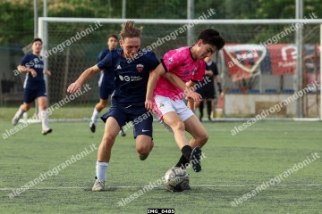 IMG_0485.jpg