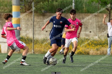 IMG_0506.jpg