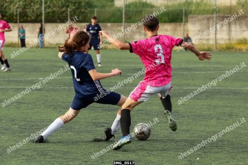 IMG_0517.jpg