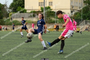 IMG_0586.jpg