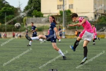 IMG_0587.jpg