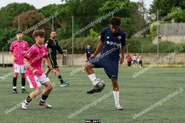 IMG_0677.jpg
