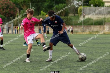 IMG_0684.jpg