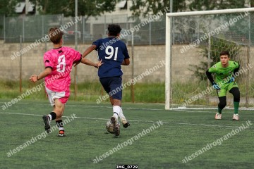 IMG_0729.jpg
