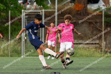 IMG_0967.jpg