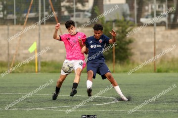 IMG_1026.jpg