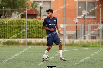 IMG_1029.jpg