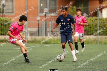 IMG_1036.jpg