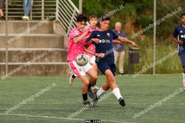 IMG_1226.jpg