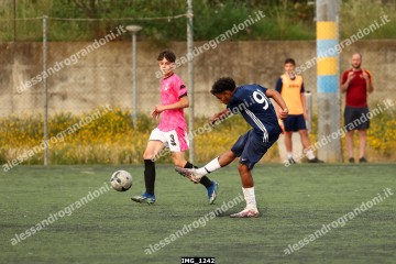 IMG_1242.jpg