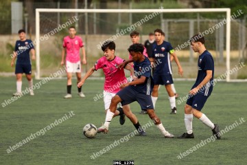 IMG_1276.jpg