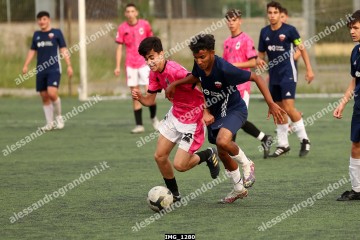 IMG_1280.jpg