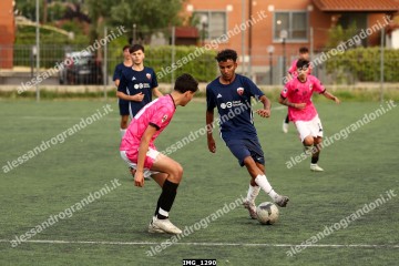 IMG_1290.jpg