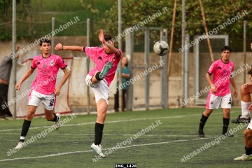 IMG_1428.jpg