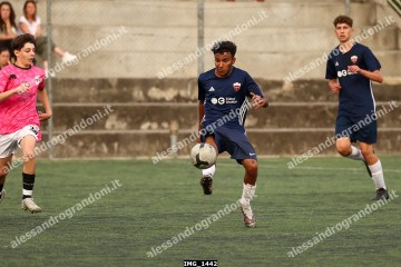 IMG_1442.jpg
