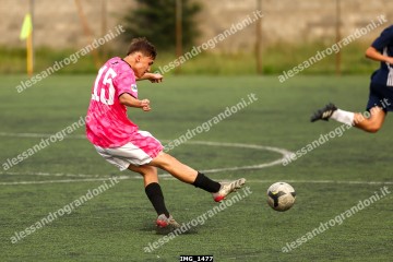 IMG_1477.jpg