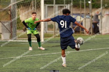 IMG_1484.jpg