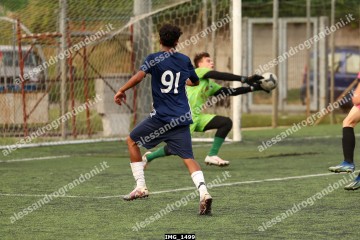 IMG_1499.jpg