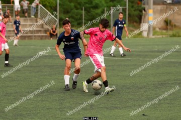 IMG_1542.jpg