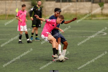 IMG_1560.jpg