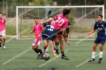 IMG_1798.jpg