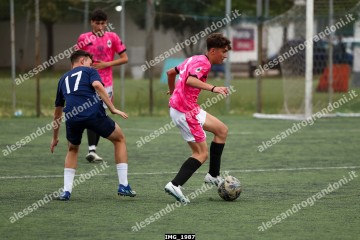 IMG_1987.jpg