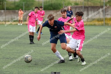 IMG_2034.jpg